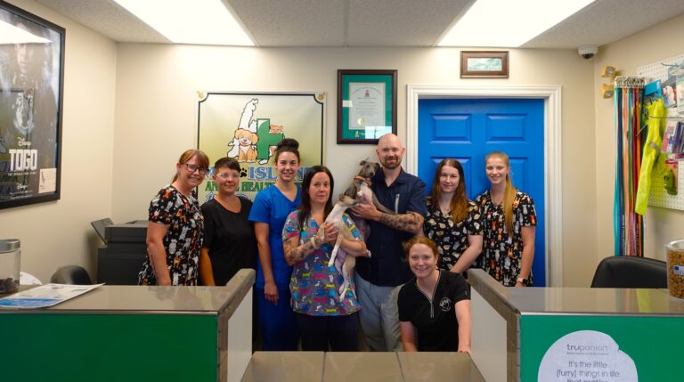 Mid Island Animal Health